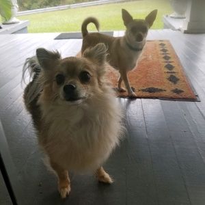 Meet your Posher, Mariah